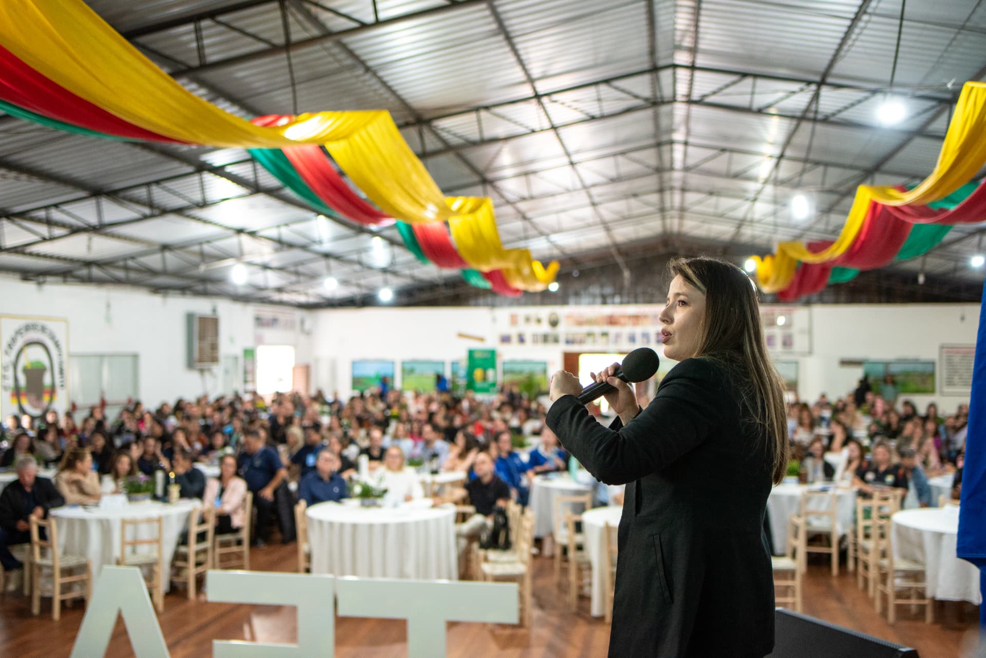 Luana Mendes Balestrin: Palestrando para profissionais